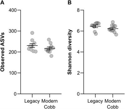 Differences in gut bacterial community composition between modern and slower-growing broiler breeder lines: Implications of growth selection on microbiome composition